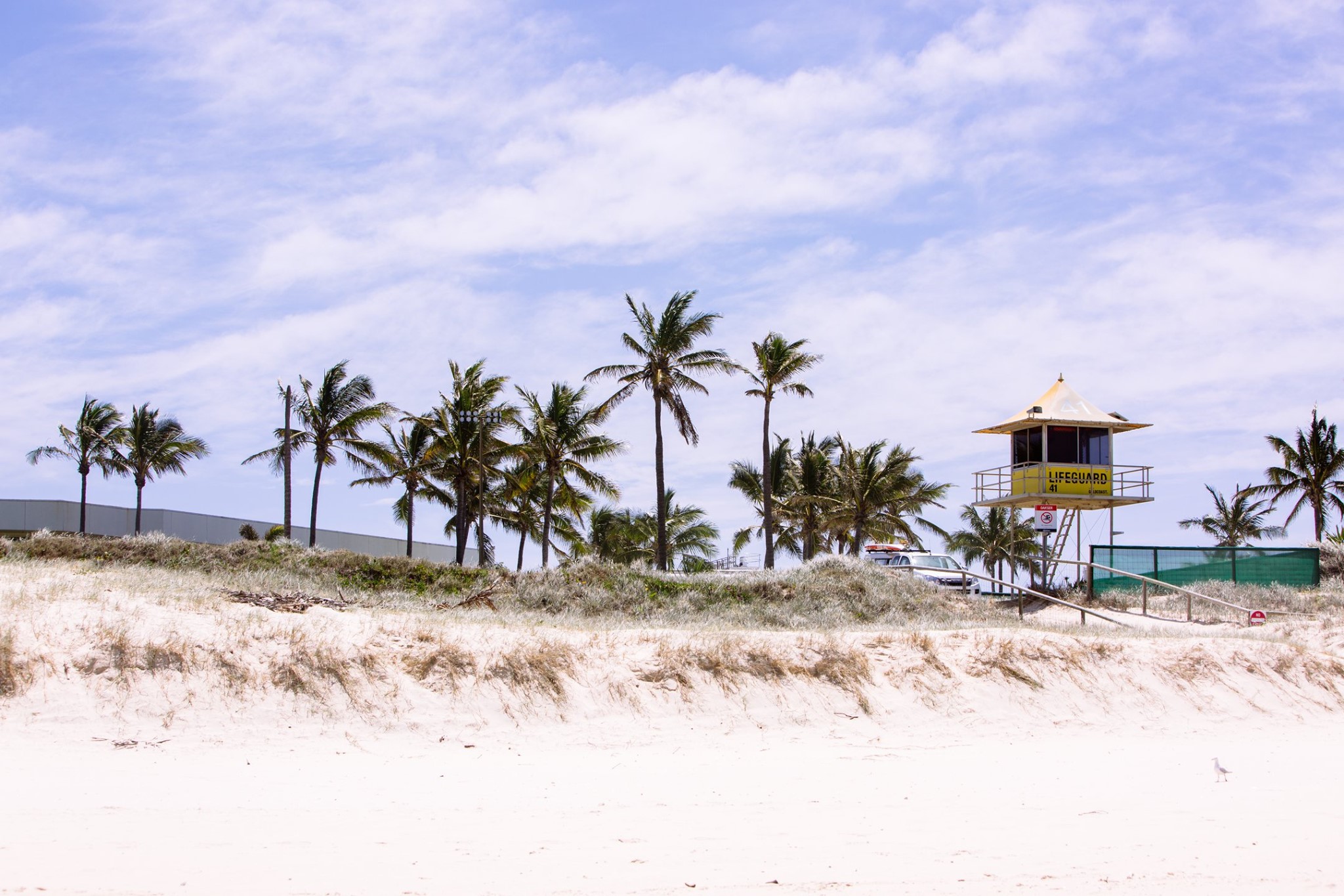 GOLD COAST BEACHES UPDATE